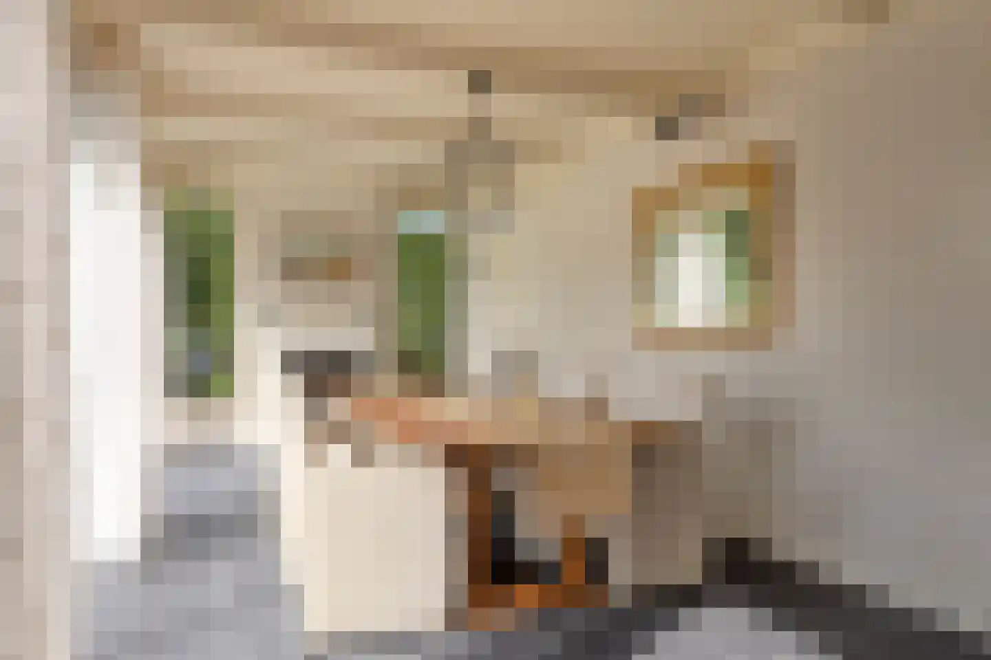 A.van Saksenlaan 13 Goes thumbnail 58
