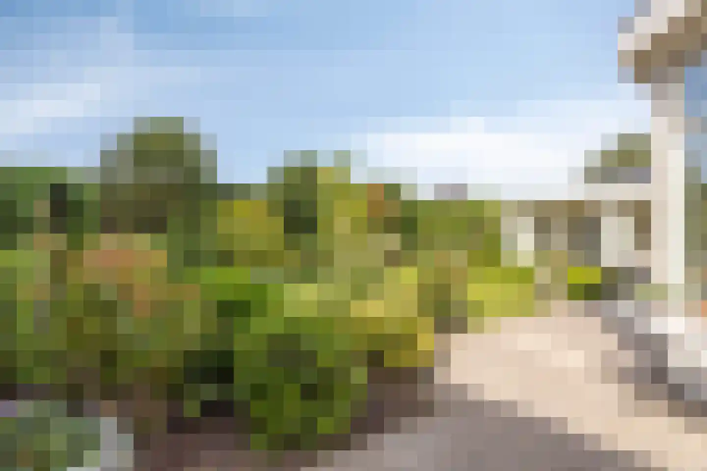A.van Saksenlaan 13 Goes thumbnail 63