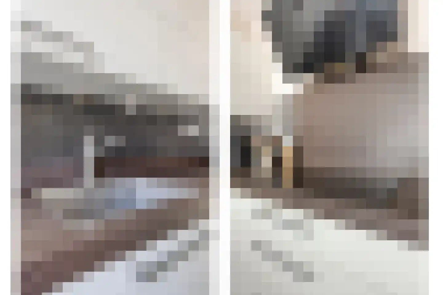 A. van Scheltemastraat 3 Papendrecht thumbnail 14