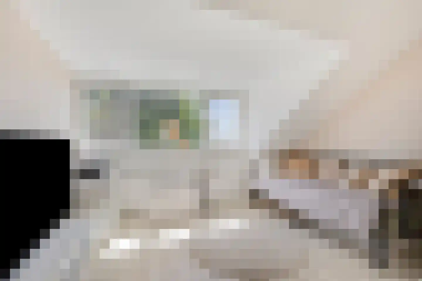 A. van Scheltemastraat 3 Papendrecht thumbnail 25