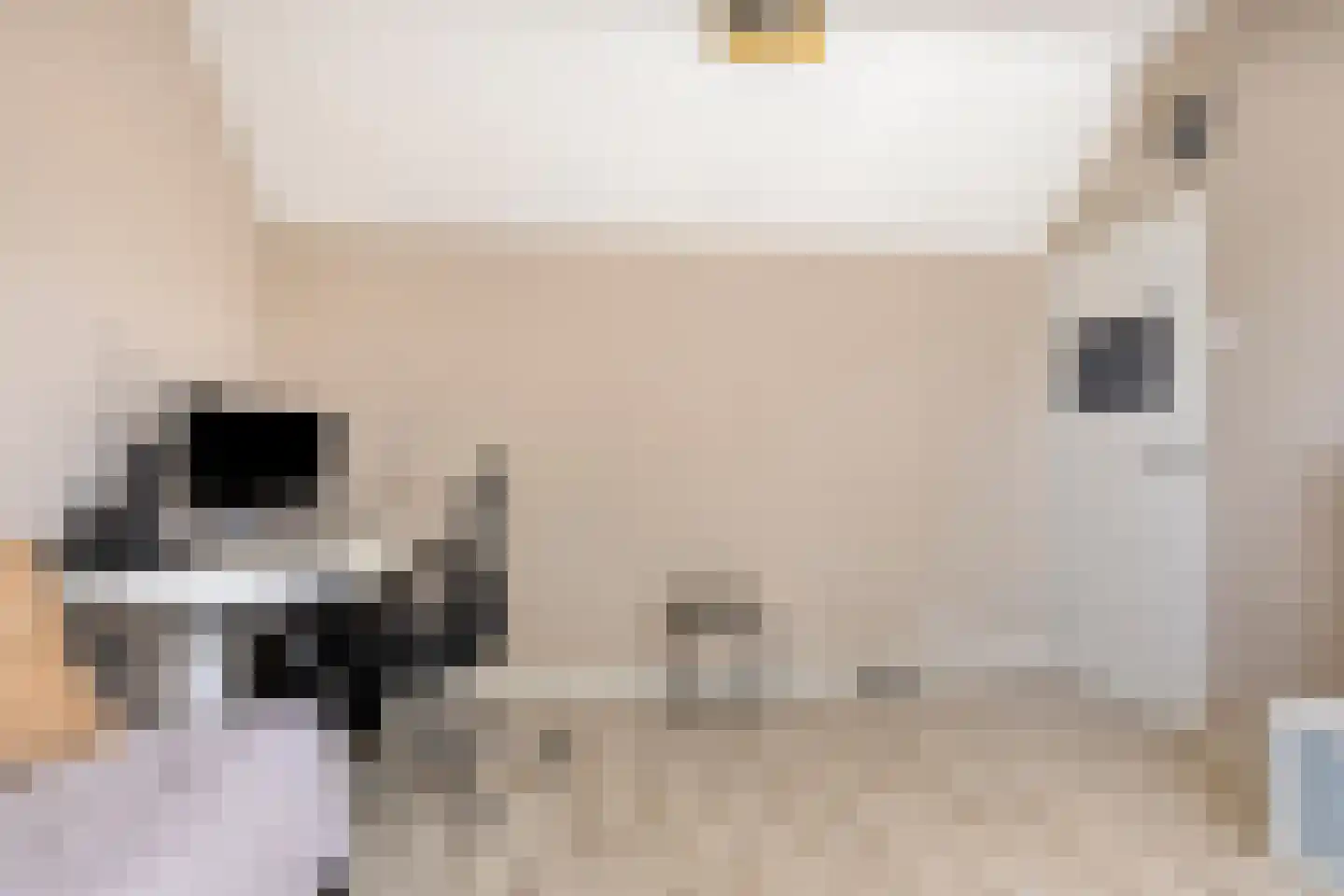 A. van Scheltemastraat 3 Papendrecht thumbnail 26