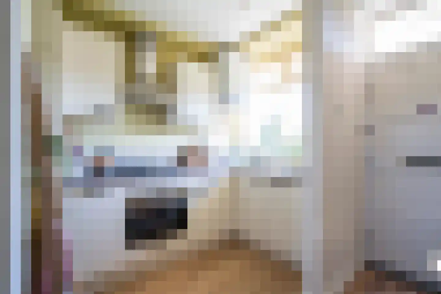A. van Schendelstraat 62 Papendrecht thumbnail 12