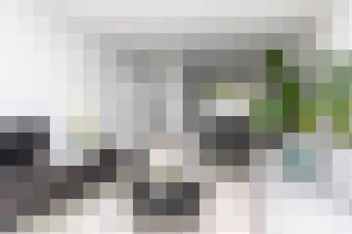 A. van Schendelstraat 8 Papendrecht thumbnail 10