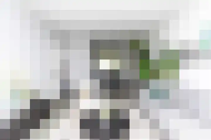 A. van Schendelstraat 8 Papendrecht thumbnail 11