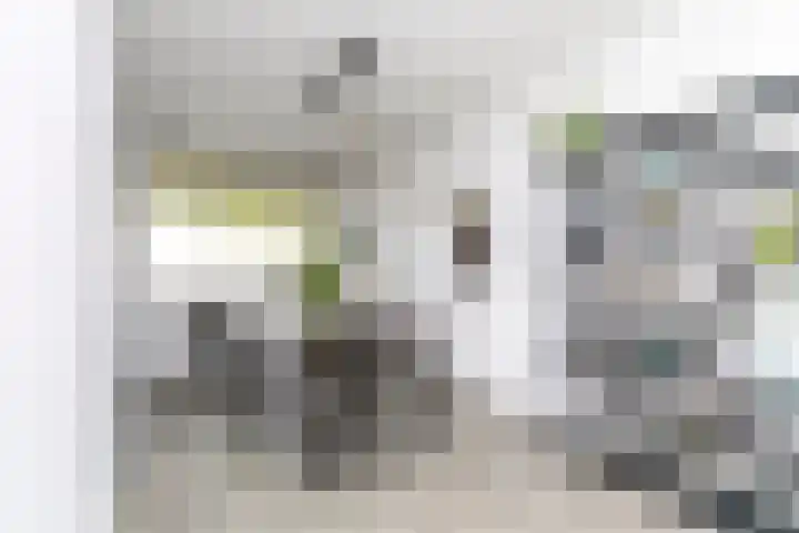 A. van Schendelstraat 8 Papendrecht thumbnail 12