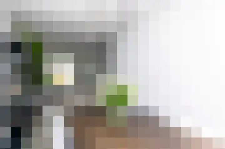 A. van Schendelstraat 8 Papendrecht thumbnail 13