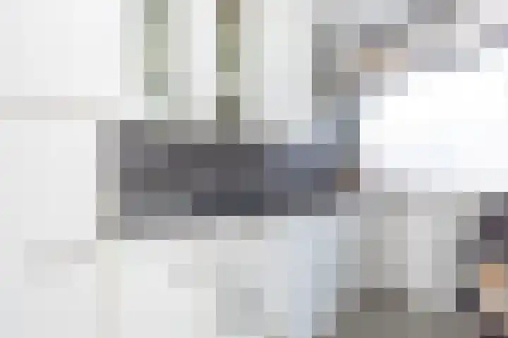 A. van Schendelstraat 8 Papendrecht thumbnail 14