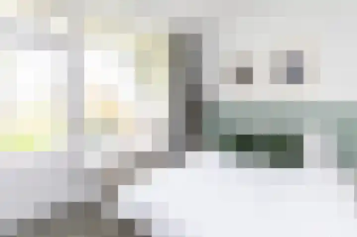 A. van Schendelstraat 8 Papendrecht thumbnail 18