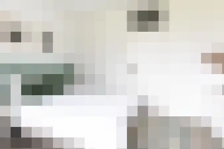 A. van Schendelstraat 8 Papendrecht thumbnail 20