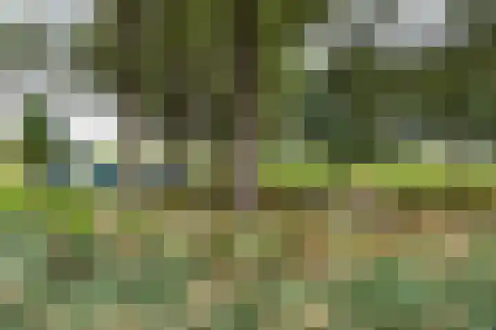A. van Schendelstraat 8 Papendrecht thumbnail 25