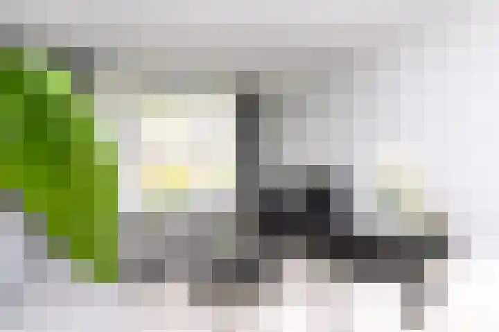 A. van Schendelstraat 8 Papendrecht thumbnail 8