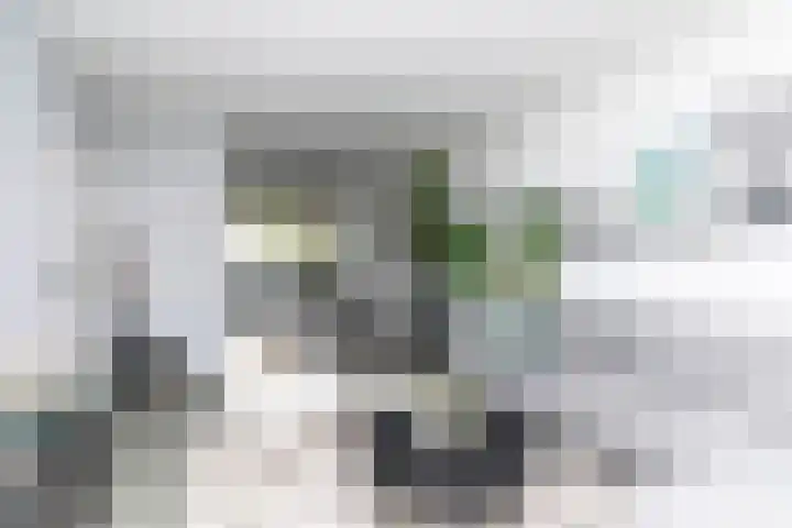 A. van Schendelstraat 8 Papendrecht thumbnail 9