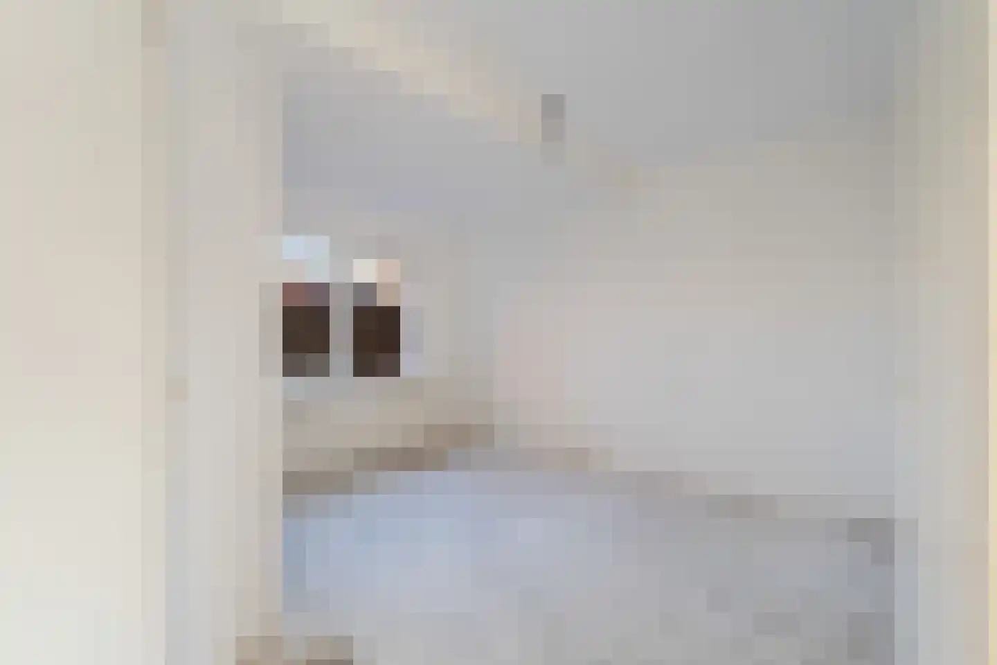 A. van Spronsenstraat 24 Den Haag thumbnail 13