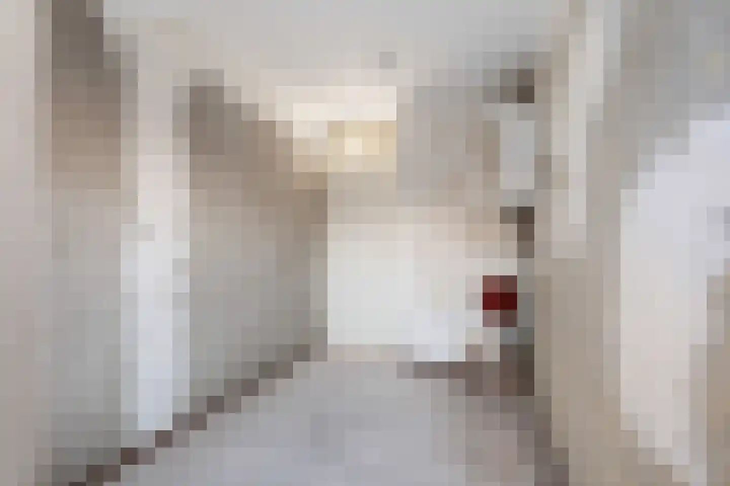 A. van Spronsenstraat 24 Den Haag thumbnail 18