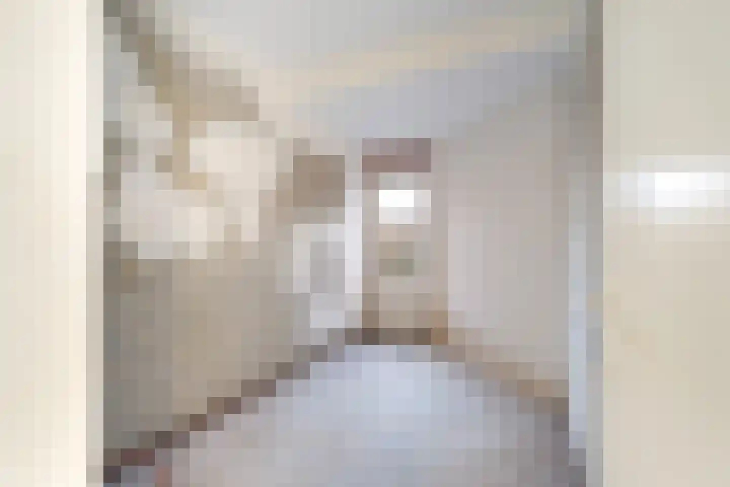 A. van Spronsenstraat 24 Den Haag thumbnail 19