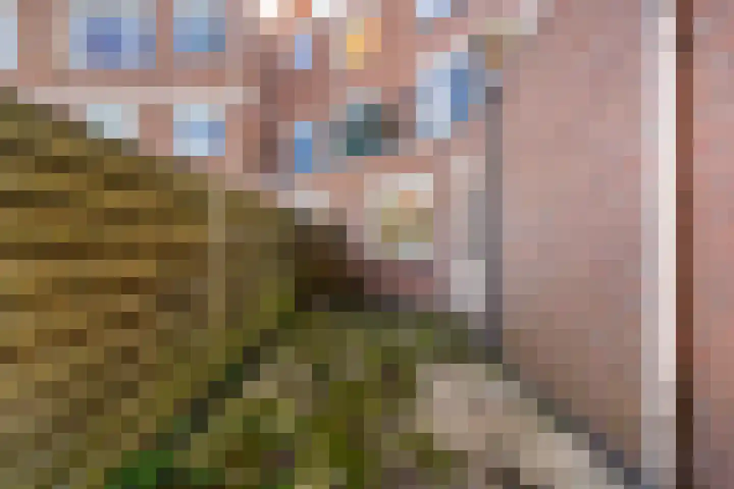 A. van Spronsenstraat 24 Den Haag thumbnail 22