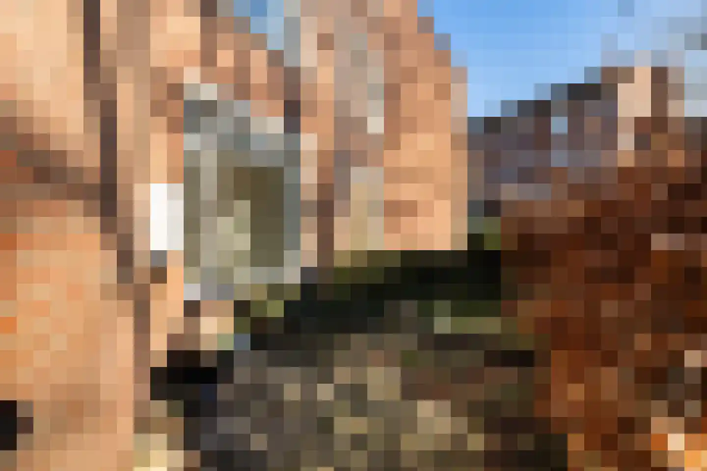 A. van Spronsenstraat 24 Den Haag thumbnail 23