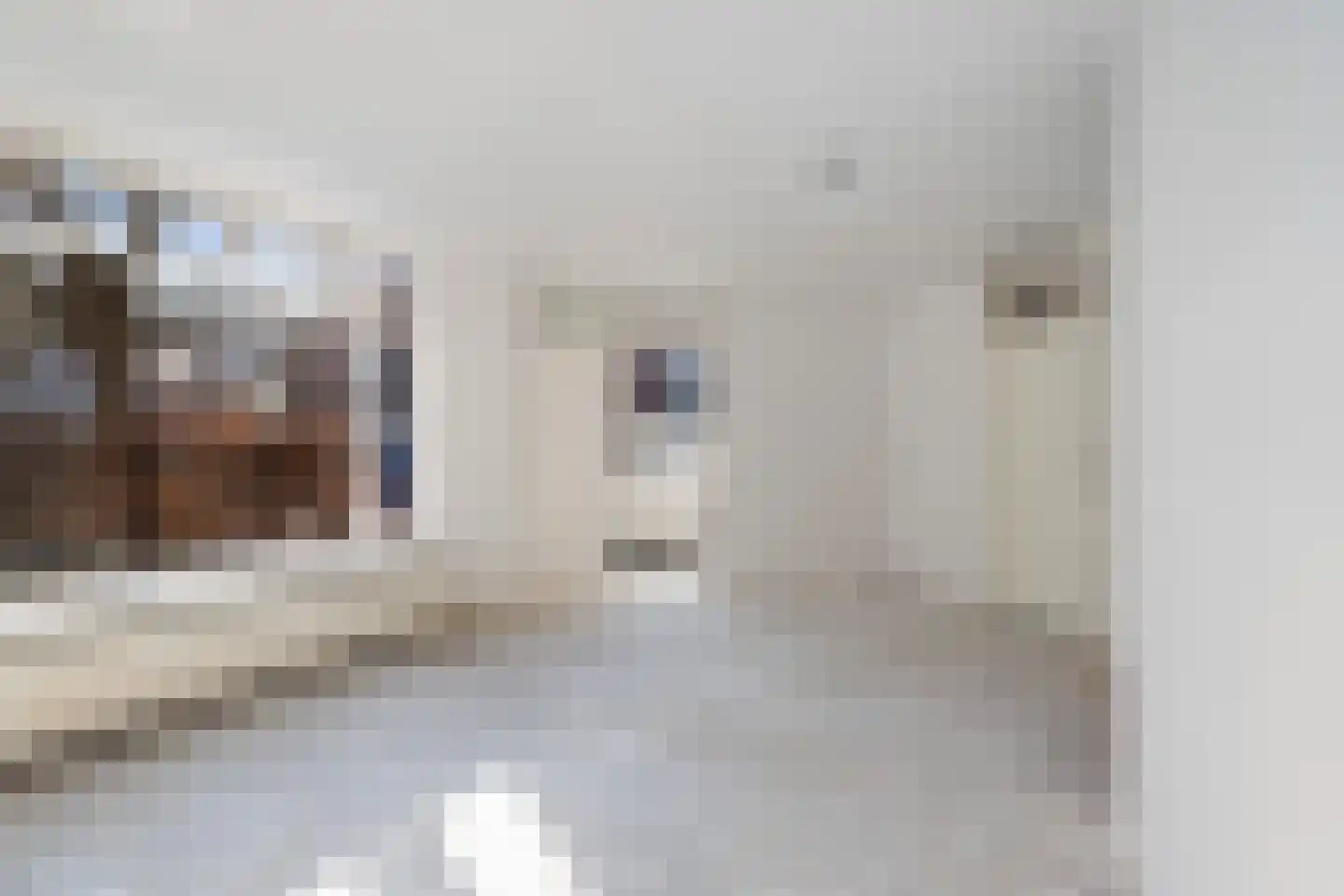 A. van Spronsenstraat 24 Den Haag thumbnail 7