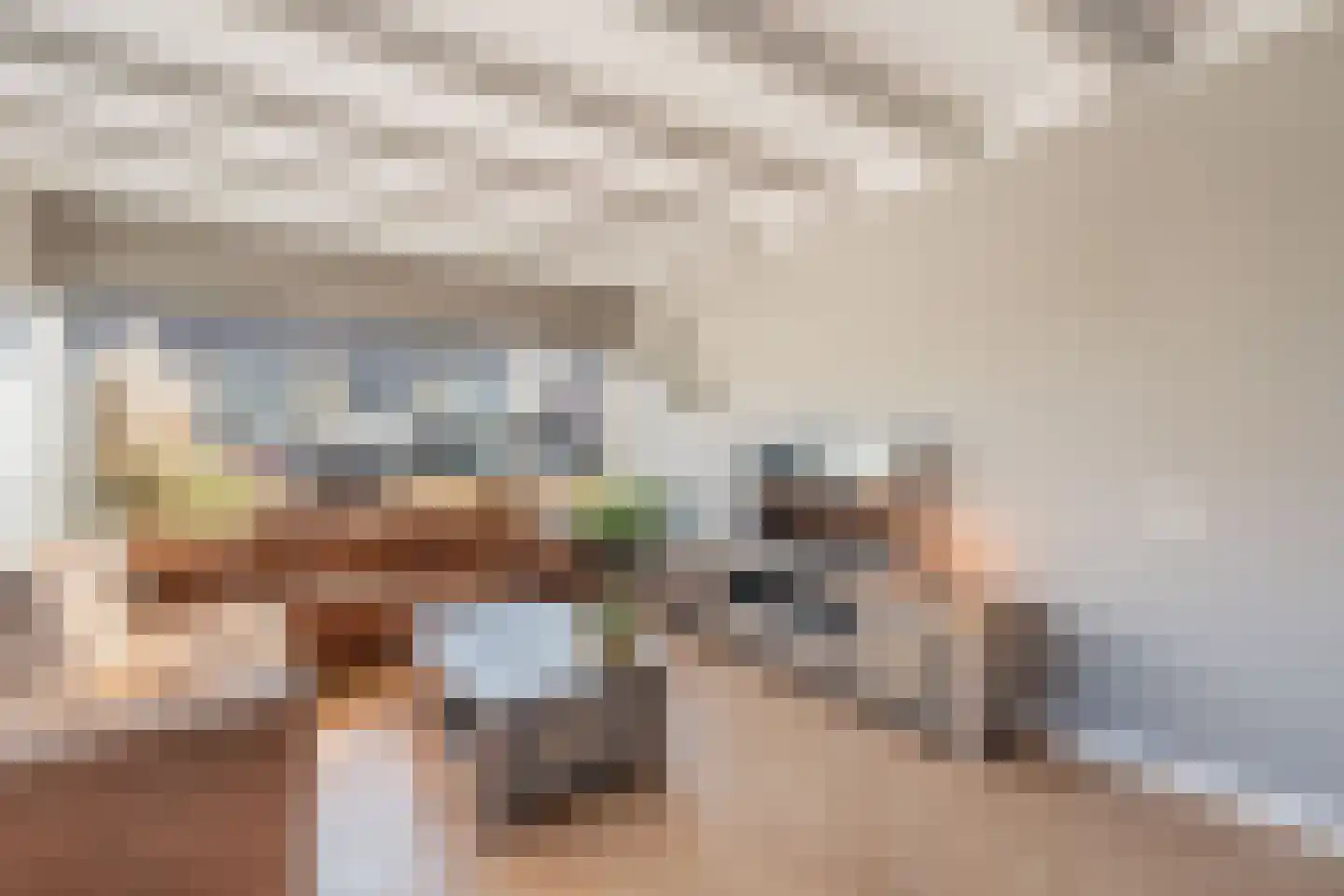 A van Voorthuijsenweg 11 Franeker thumbnail 10