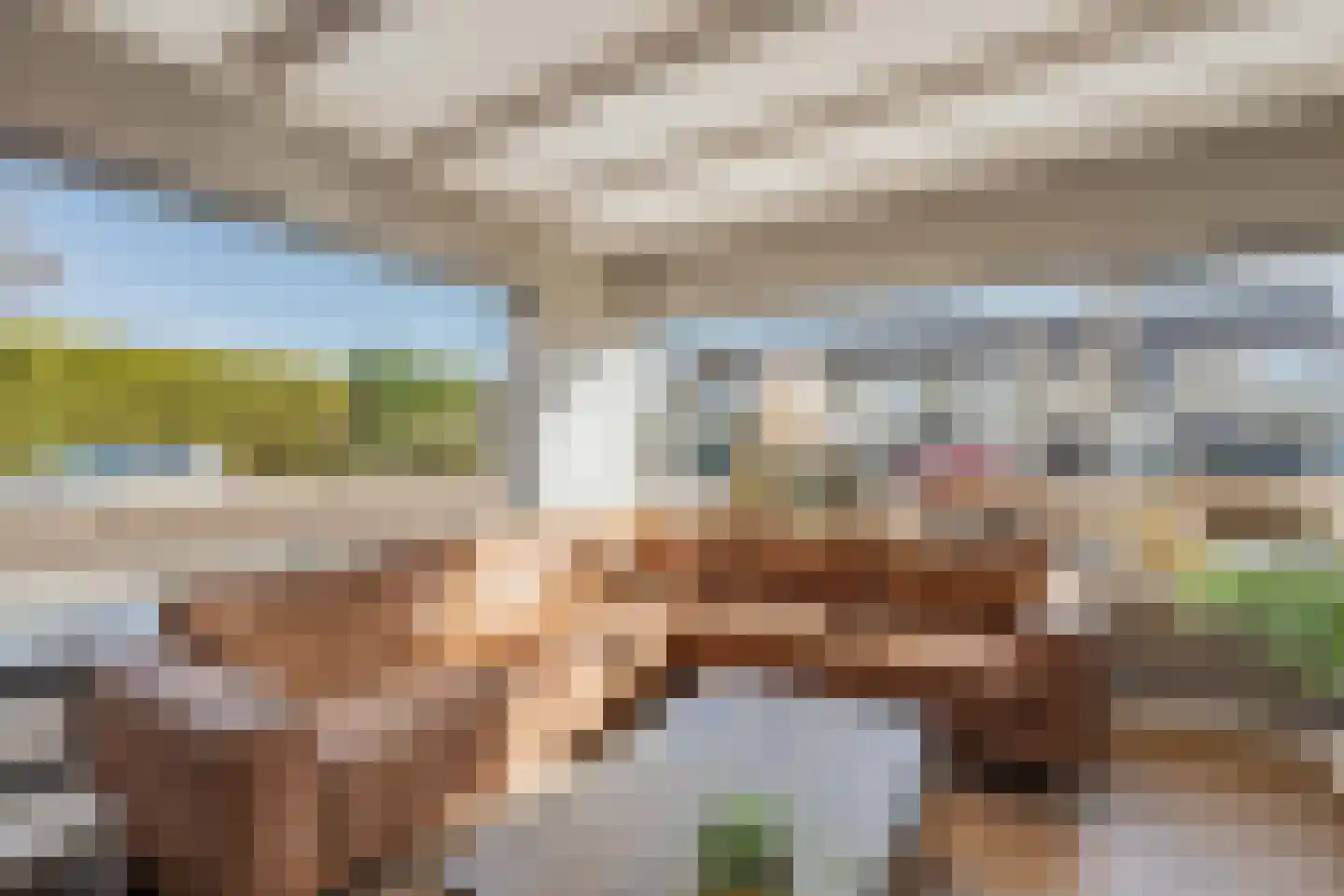 A van Voorthuijsenweg 11 Franeker thumbnail 11