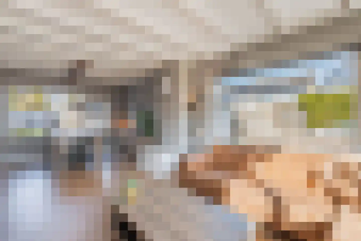 A van Voorthuijsenweg 11 Franeker thumbnail 12