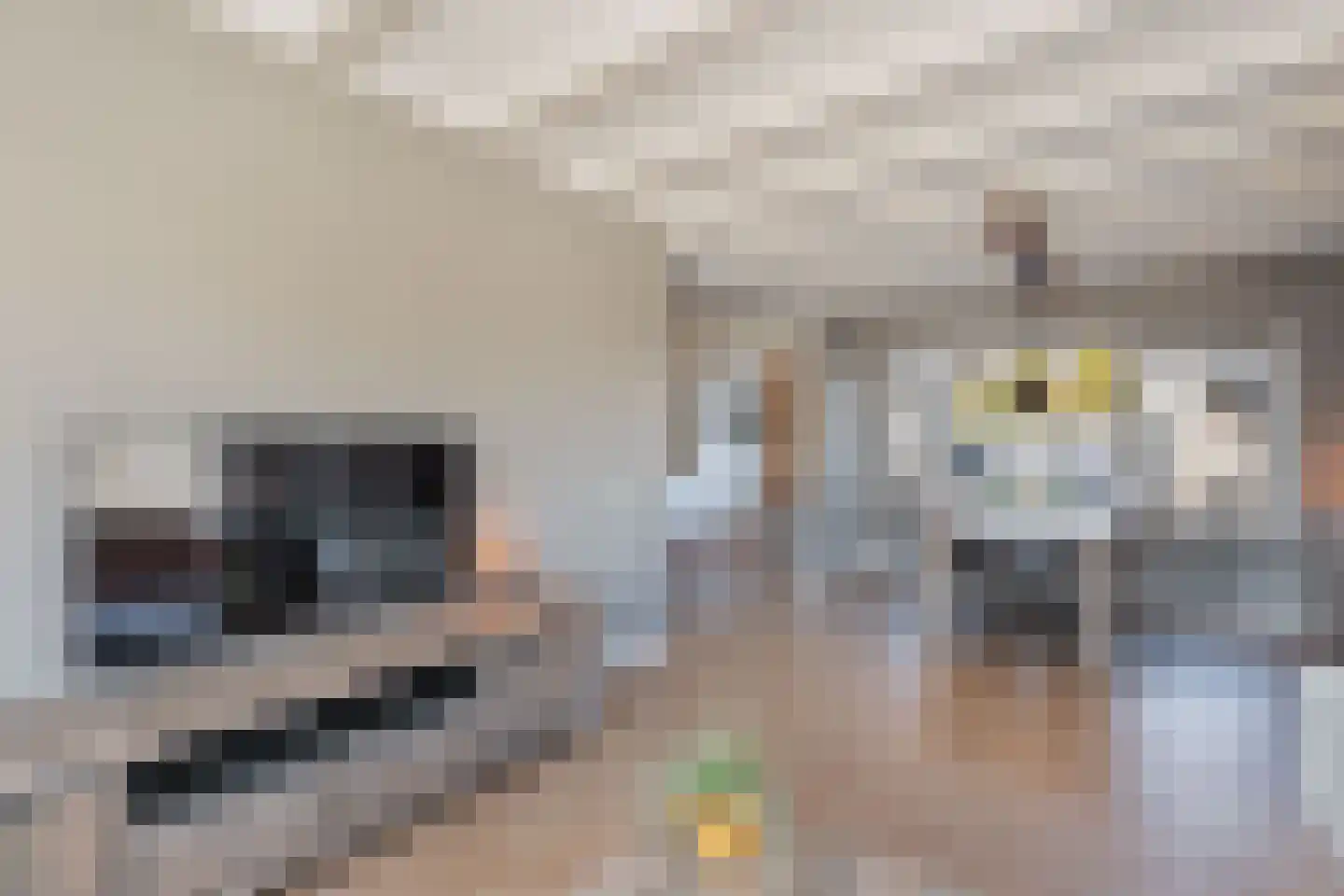 A van Voorthuijsenweg 11 Franeker thumbnail 13