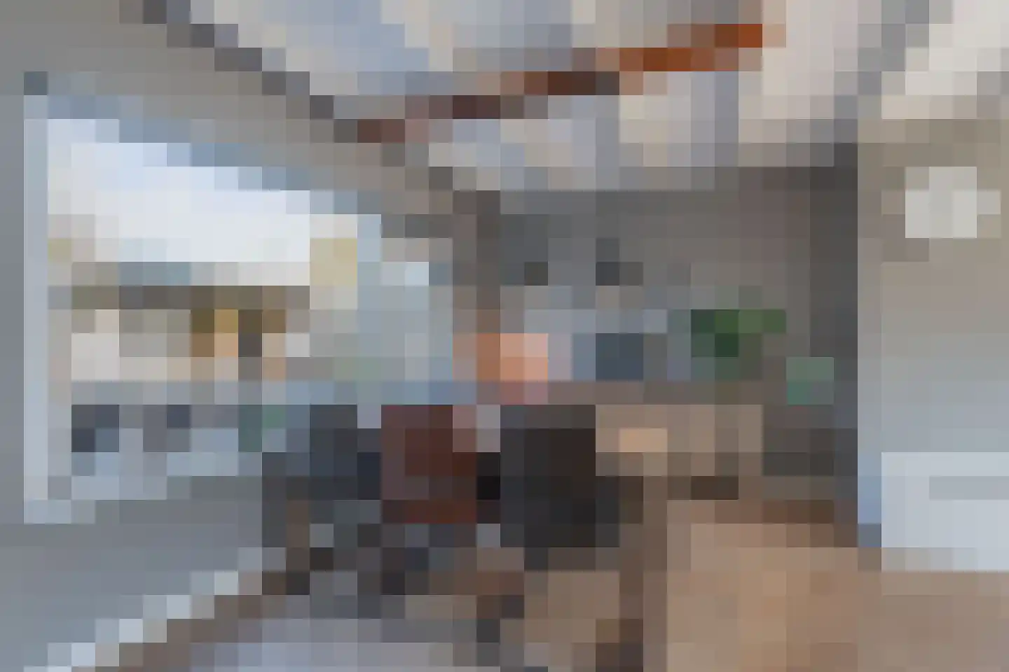 A van Voorthuijsenweg 11 Franeker thumbnail 14