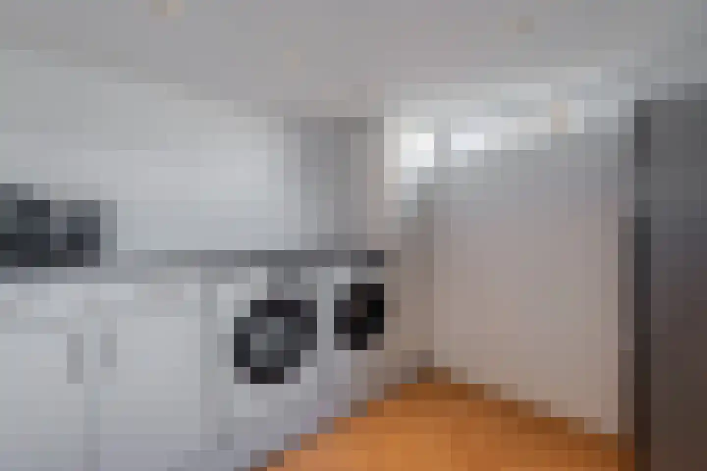 A van Voorthuijsenweg 11 Franeker thumbnail 17