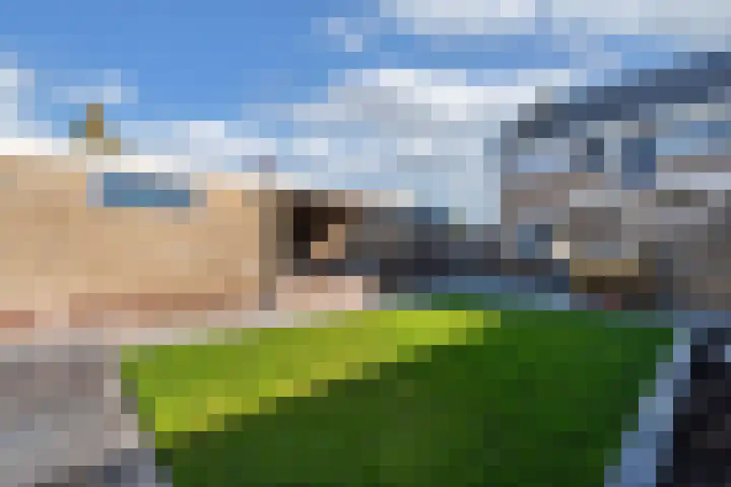 A van Voorthuijsenweg 11 Franeker thumbnail 22