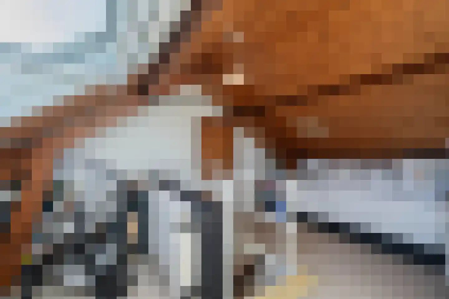 A van Voorthuijsenweg 11 Franeker thumbnail 32