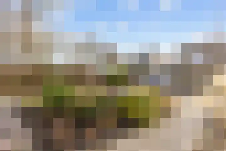 A van Voorthuijsenweg 33 Franeker thumbnail 13
