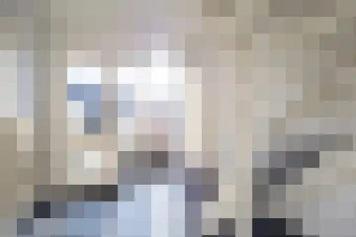 A van Voorthuijsenweg 33 Franeker thumbnail 14