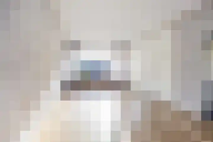 A van Voorthuijsenweg 33 Franeker thumbnail 18