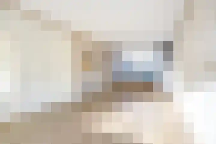 A van Voorthuijsenweg 33 Franeker thumbnail 19