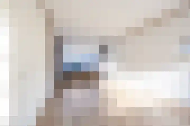 A van Voorthuijsenweg 33 Franeker thumbnail 20