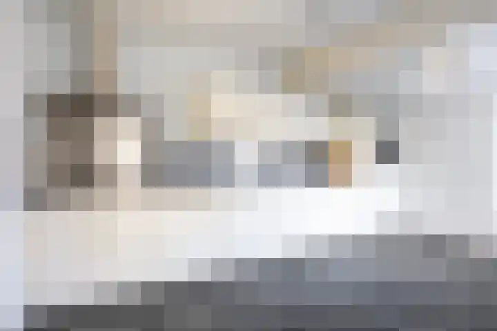 A van Voorthuijsenweg 33 Franeker thumbnail 21