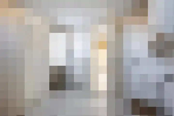 A van Voorthuijsenweg 33 Franeker thumbnail 25