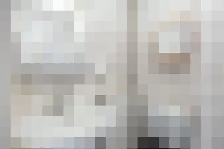 A van Voorthuijsenweg 33 Franeker thumbnail 4