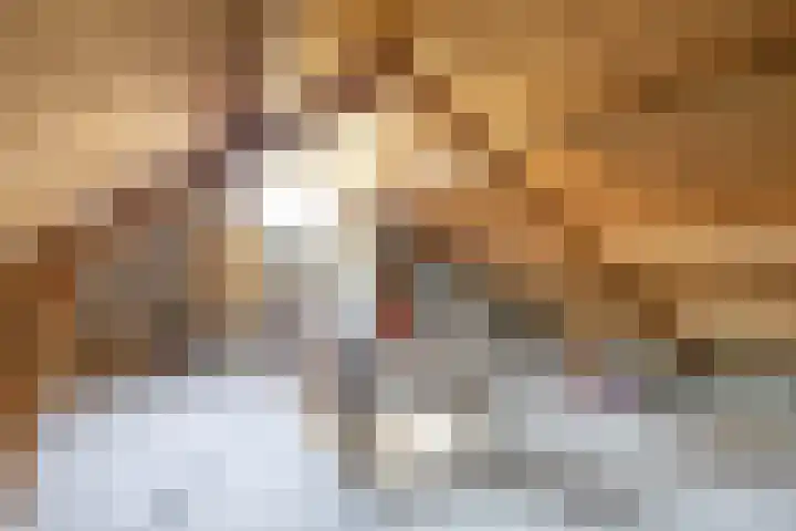 A van Voorthuijsenweg 33 Franeker thumbnail 48