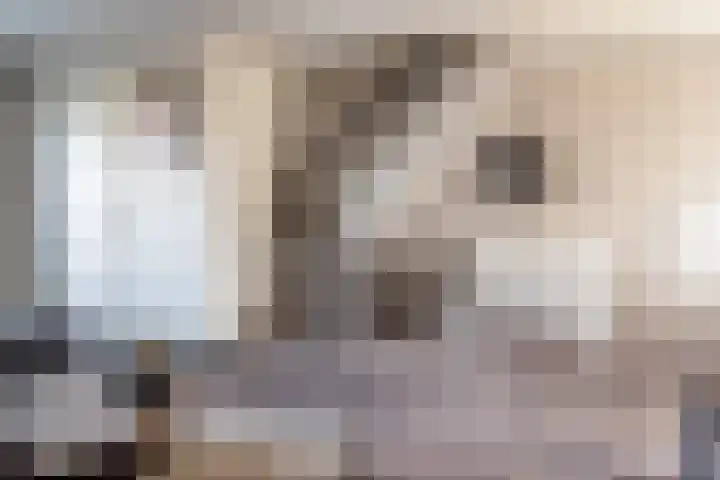 A van Voorthuijsenweg 4 Franeker thumbnail 10