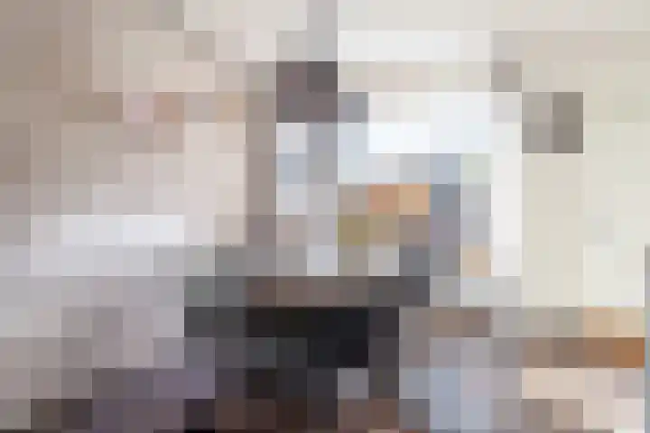 A van Voorthuijsenweg 4 Franeker thumbnail 11