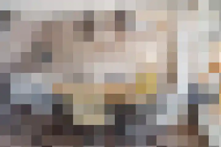A van Voorthuijsenweg 4 Franeker thumbnail 14