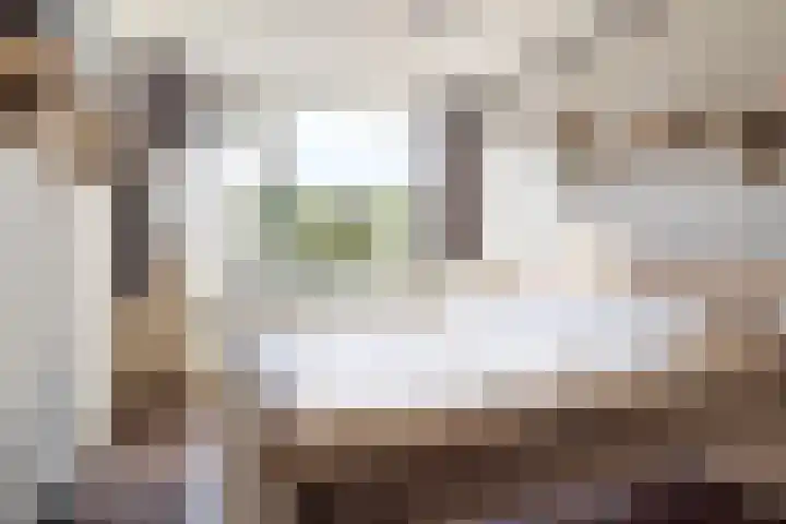 A van Voorthuijsenweg 4 Franeker thumbnail 20