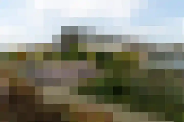 A van Voorthuijsenweg 4 Franeker thumbnail 33