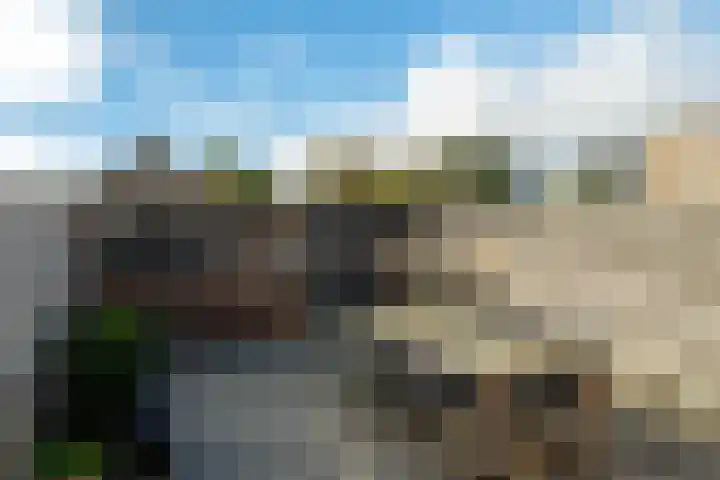 A van Voorthuijsenweg 4 Franeker thumbnail 5