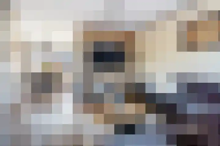 A van Voorthuijsenweg 4 Franeker thumbnail 8