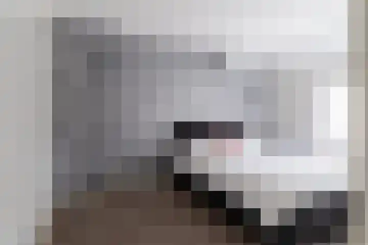 A. van Zeestraat 15 Poederoijen thumbnail 22