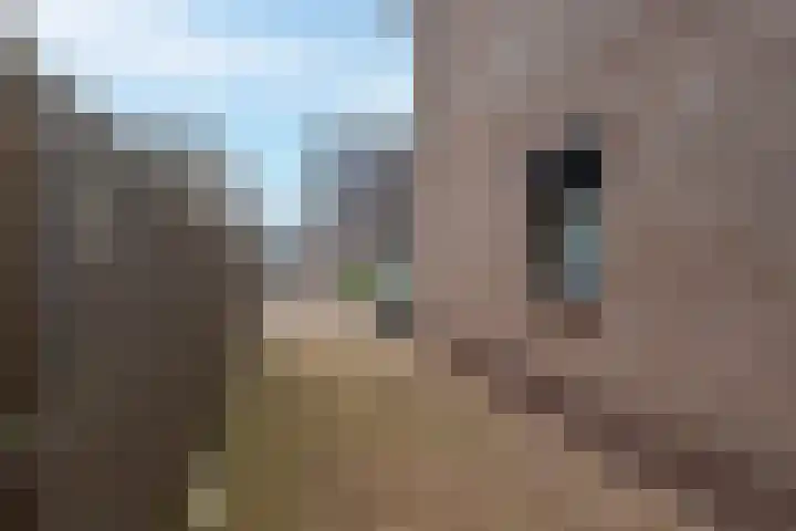 A. van Zeestraat 15 Poederoijen thumbnail 32