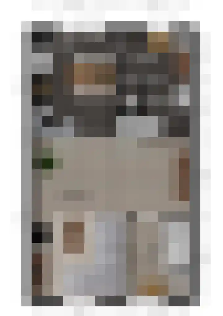 A. van Zeestraat 15 Poederoijen thumbnail 33