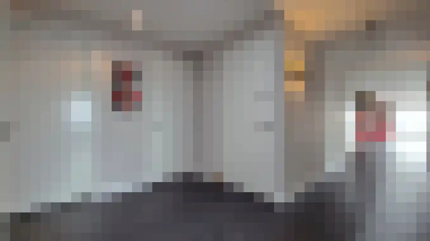 A.Vlaminckxplein 22 Rijen thumbnail 13